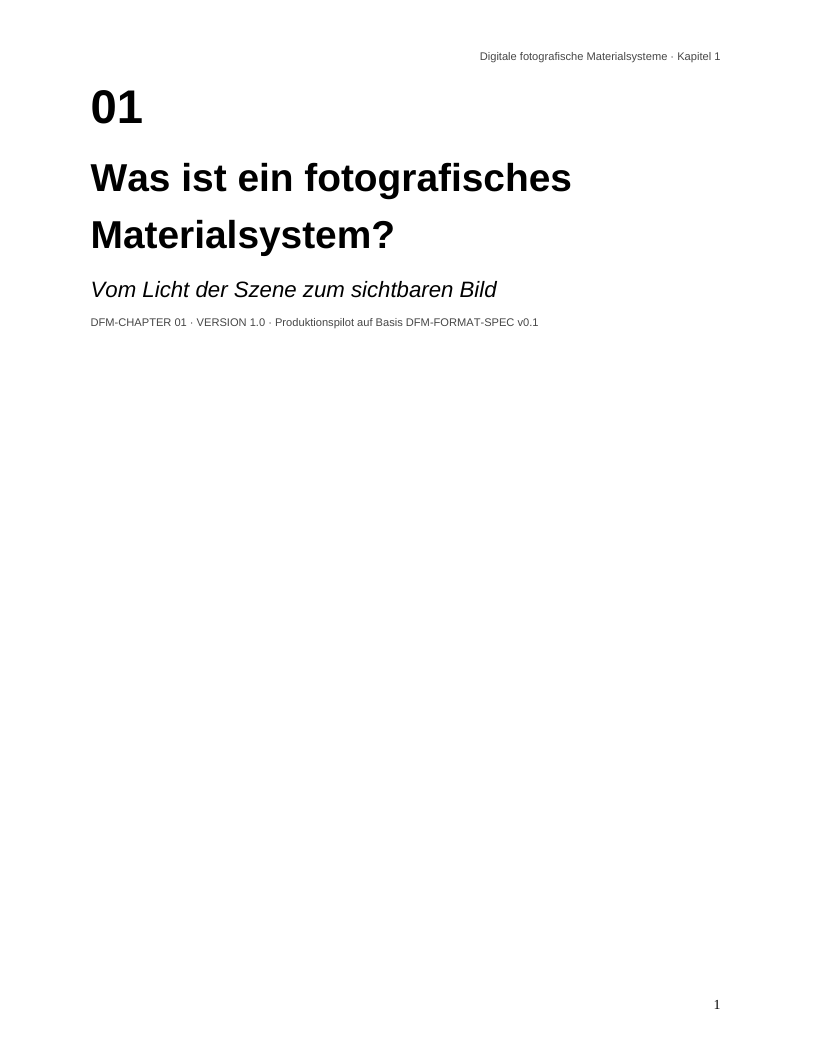 DFM Kapitel 1 Cover